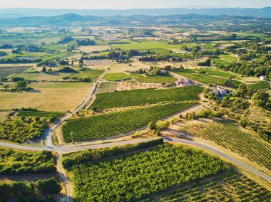 Provence, Güney Fransa 'da selvi ağaçları, zeytin ağaçları ve üzüm bağlarıyla hava manzaralı Akdeniz manzarası