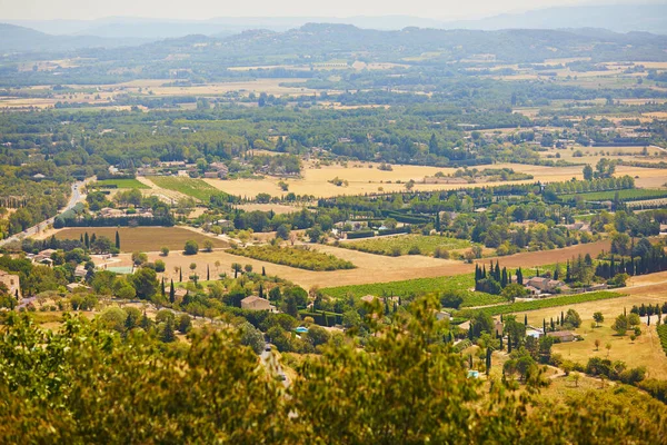 Aerial Scenic Mediterranean Landscape Cypresses Olive Trees Vineyards Provence Southern —  Fotos de Stock