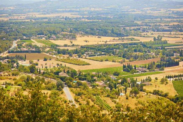 Aerial Scenic Mediterranean Landscape Cypresses Olive Trees Vineyards Provence Southern — 图库照片