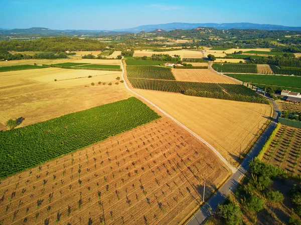 Aerial Scenic Mediterranean Landscape Cypresses Olive Trees Vineyards Provence Southern — Fotografia de Stock