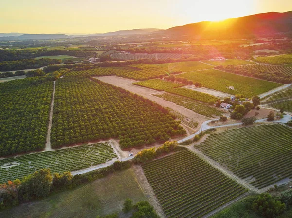 Aerial Scenic Mediterranean Landscape Cypresses Olive Trees Vineyards Provence Southern — Foto Stock