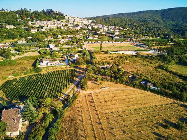 Aerial Scenic Mediterranean Landscape Cypresses Olive Trees Vineyards Provence Southern — Fotografia de Stock