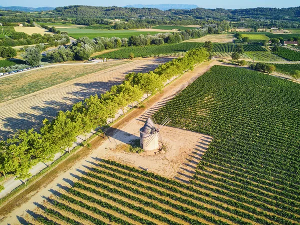 Aerial Scenic Mediterranean Landscape Windmill Cypresses Olive Trees Vineyards Provence — Stockfoto