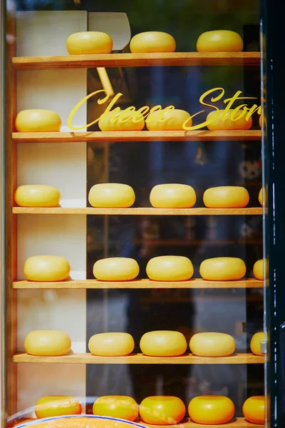 Many wheels of delicious Dutch cheese on shop-window in Amsterdam, the Netherlands
