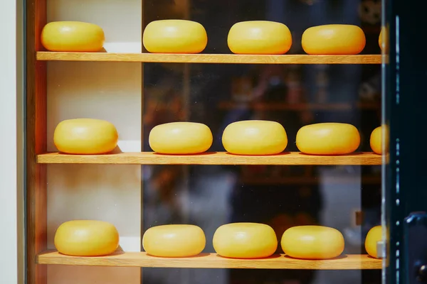 Many wheels of delicious Dutch cheese on shop-window in Amsterdam, the Netherlands