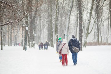 Rusya, Saint Petersburg 'da soğuk ve karlı bir kış gününde Mikhailovsky bahçesinde yürüyen insanlar