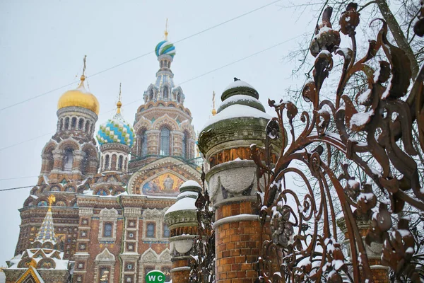 Vista Panorâmica Salvador Igreja Sangue Derramado Com Grelha Jardim Mikhailovsky — Fotografia de Stock