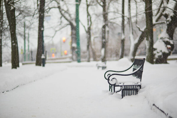Beautiful bench in Mikhailovsky garden on a cold and snowy winter day in Saint Petersburg, Russia