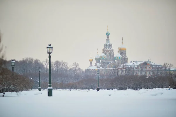 Scenic View Savior Spilled Blood Church Seen Field Mars Snowy — Stock Photo, Image