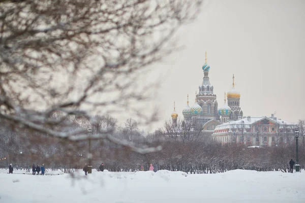 在俄罗斯圣彼得堡的一个寒冷的冬日 从火星田野看到的洒血教堂上的救世主场景 — 图库照片