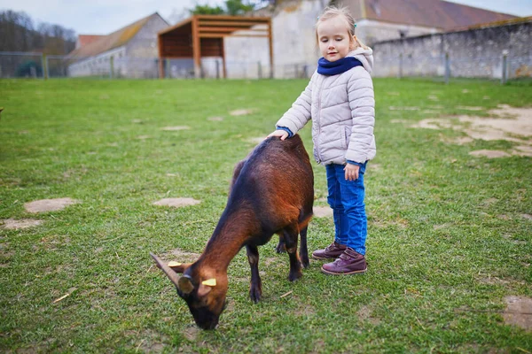 Adorable Niña Jugando Con Cabras Ovejas Granja Niña Familiarizándose Con —  Fotos de Stock