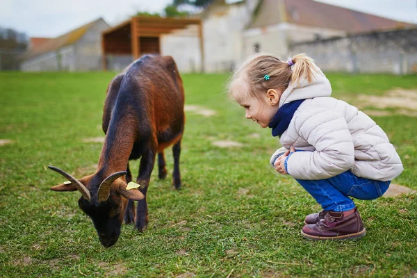 Adorable Little Girl Playing Goats Sheep Farm Child Familiarizing Herself — Stock Photo, Image