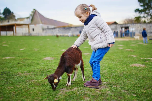 Adorable Little Girl Playing Goats Sheep Farm Child Familiarizing Herself — Stock Photo, Image