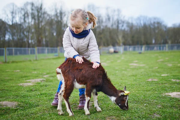 Entzückendes Kleines Mädchen Das Auf Dem Bauernhof Mit Ziegen Und — Stockfoto