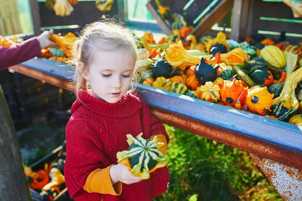 Adorable Preschooler Girl Selecting Variuos Decorative Pumpkins Farmers Market Halloween — Stock Photo, Image