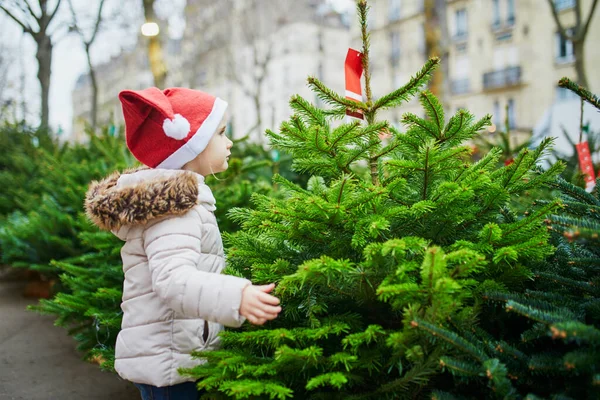 圣诞树市场上快乐快乐的学龄前小女孩 戴着红色的圣诞礼帽 在家里挑选一棵树庆祝新年和圣诞节 与孩子的假期 — 图库照片
