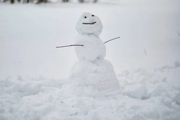 冬の日に幸せな顔をした大きな雪だるま 冬は子供と一緒に活動します 寒い雪の天気 — ストック写真