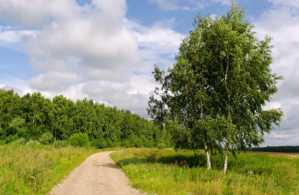 Country road. — Stock Photo, Image