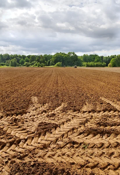 Auf dem Feld. — Stockfoto