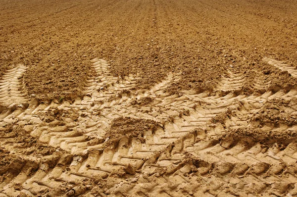 Stamp on the soil. — Stock Photo, Image