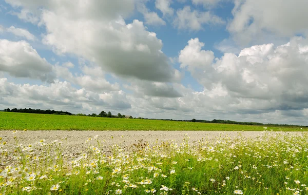 Strada di campagna. — Foto Stock