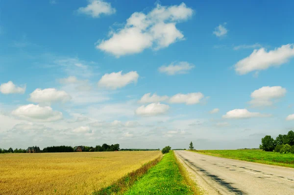 Strada di campagna. — Foto Stock