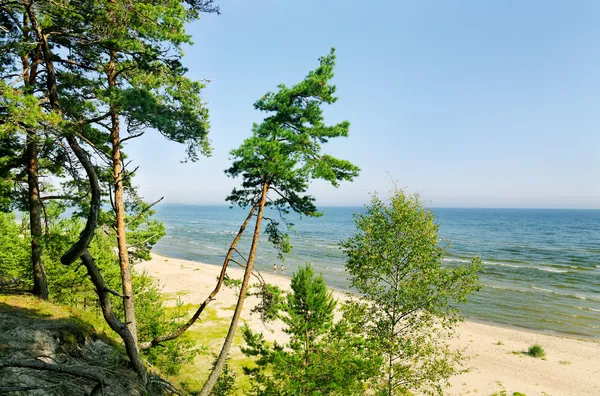 Aan de zee in een zomer. — Stockfoto