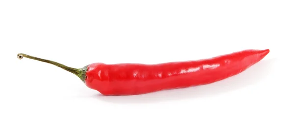 Red pepper. Royalty Free Stock Images