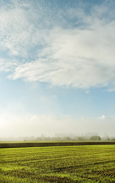 Sonniger Morgen. — Stockfoto