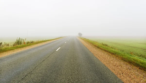 Туман на дороге . — стоковое фото