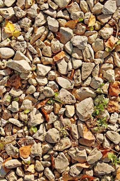 Piedras y hojas . — Foto de Stock