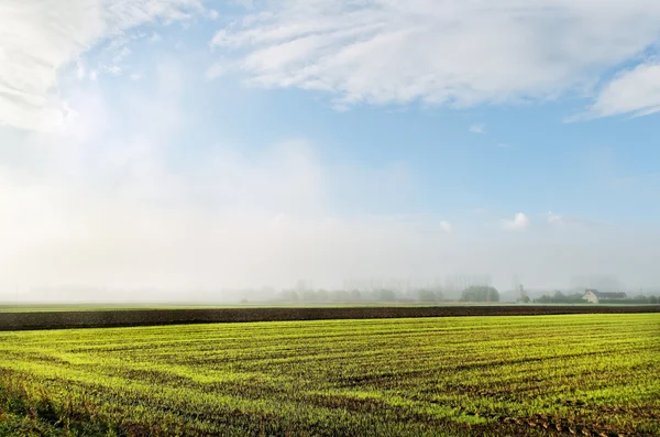 Country landscape. — Stock Photo, Image