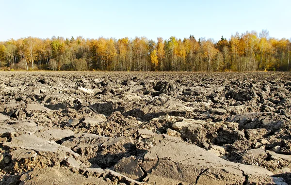 Gepflügtes Feld. — Stockfoto