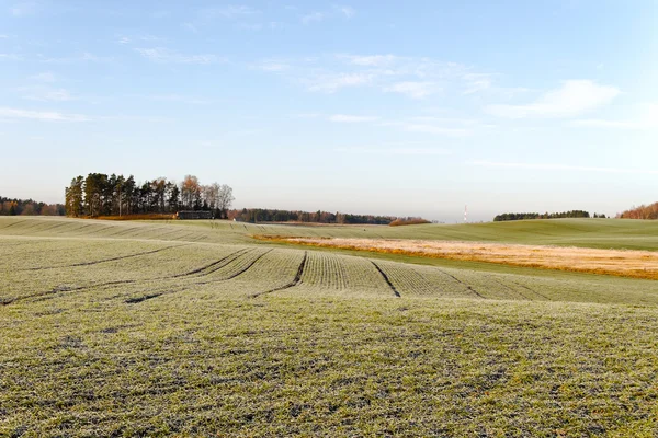 Frost an Land. — Stockfoto