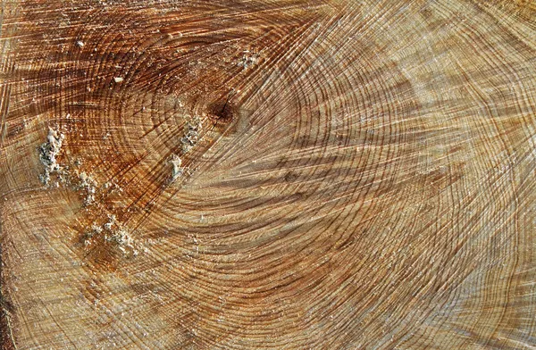 Povrch dřeva. — Stock fotografie