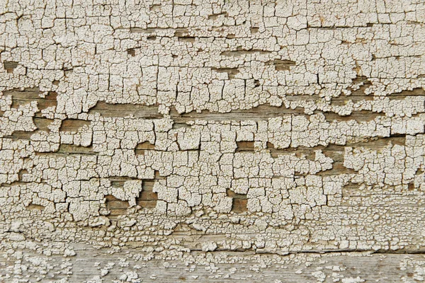 Wood surface. — Stock Photo, Image