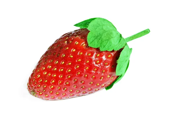 Röd jordgubbe. — Stockfoto