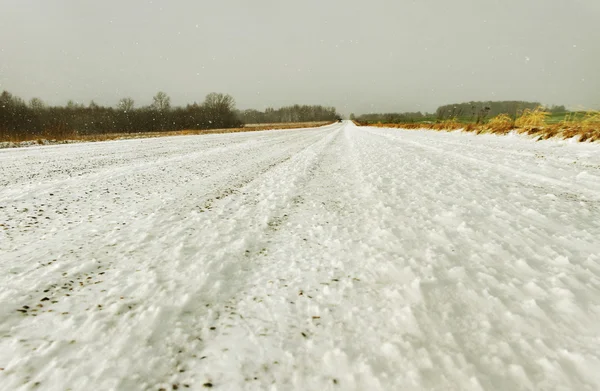 Tempesta di neve . — Foto Stock