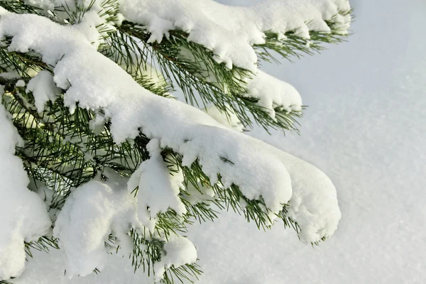 A villásreggeli a fehér hó. — Stock Fotó