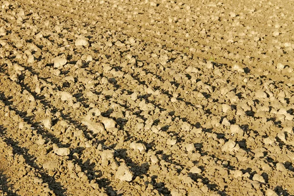 Geploegde grond. — Stockfoto