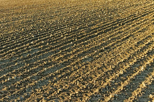 Primavera em uma terra . — Fotografia de Stock