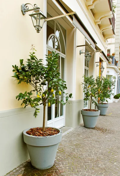 En la calle Sorrento . — Foto de Stock