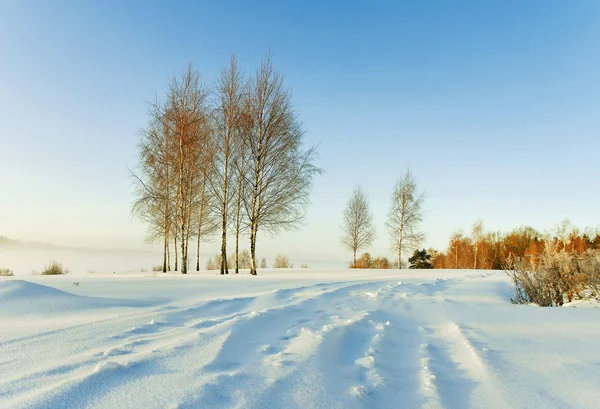 Camino hacia la nieve . — Foto de Stock