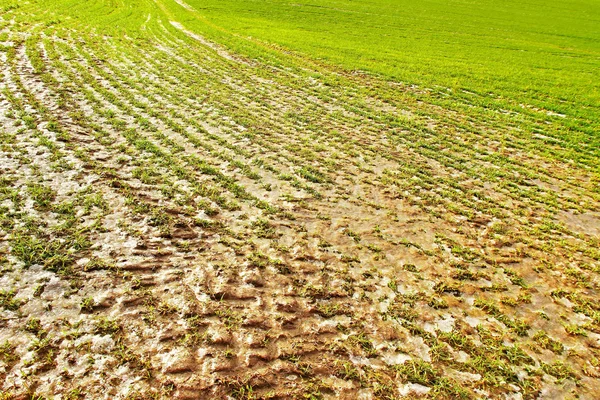 Auf dem Land. — Stockfoto