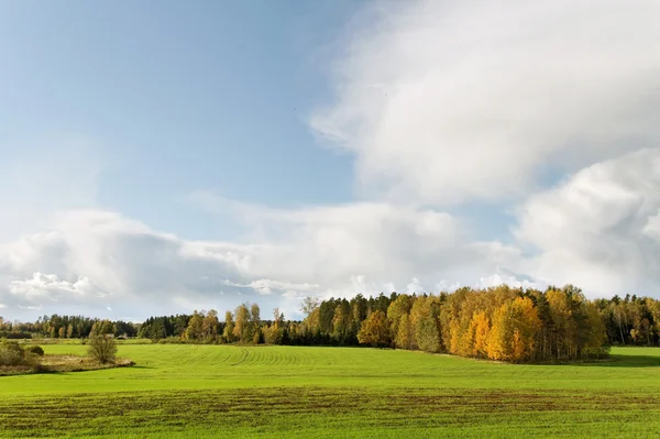 Ráno nad polem. — Stock fotografie