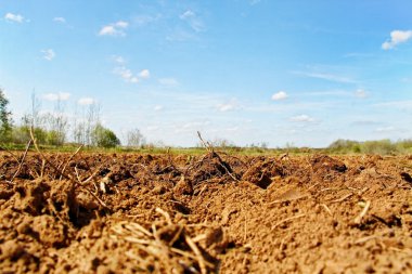 doğal sürülmüş alan.