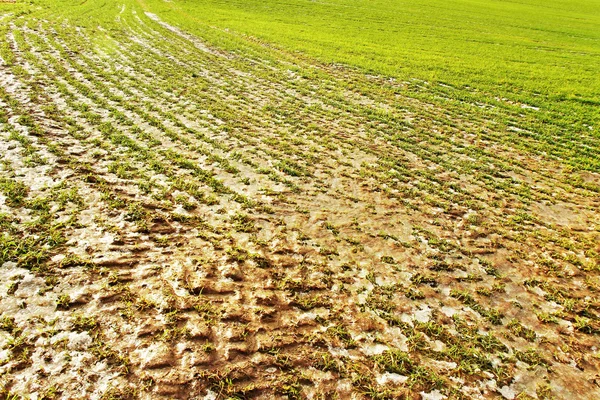 Gefrorener Pool an Land. — Stockfoto