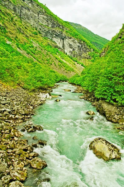 Schneller Fluss. — Stockfoto