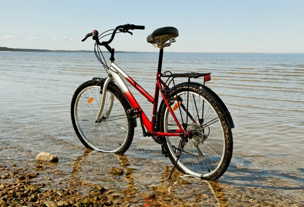 Fiets op de zee. — Stockfoto