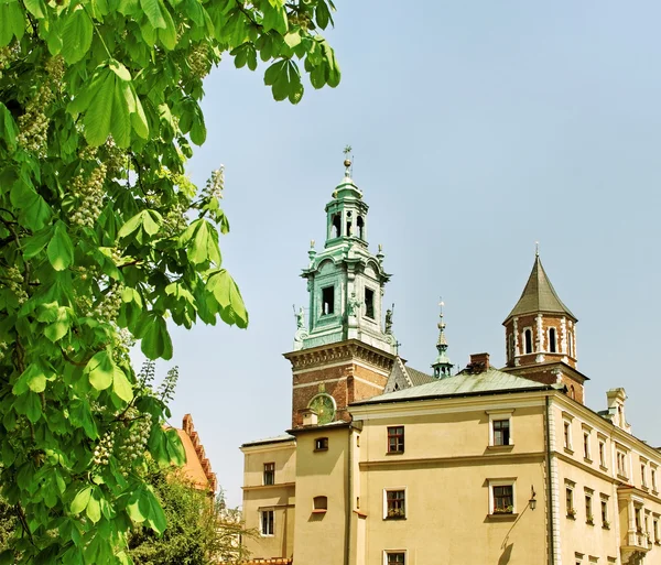 Wawel-Burg. — Stockfoto